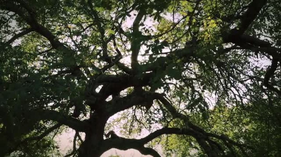 8월28일 테스트 영상